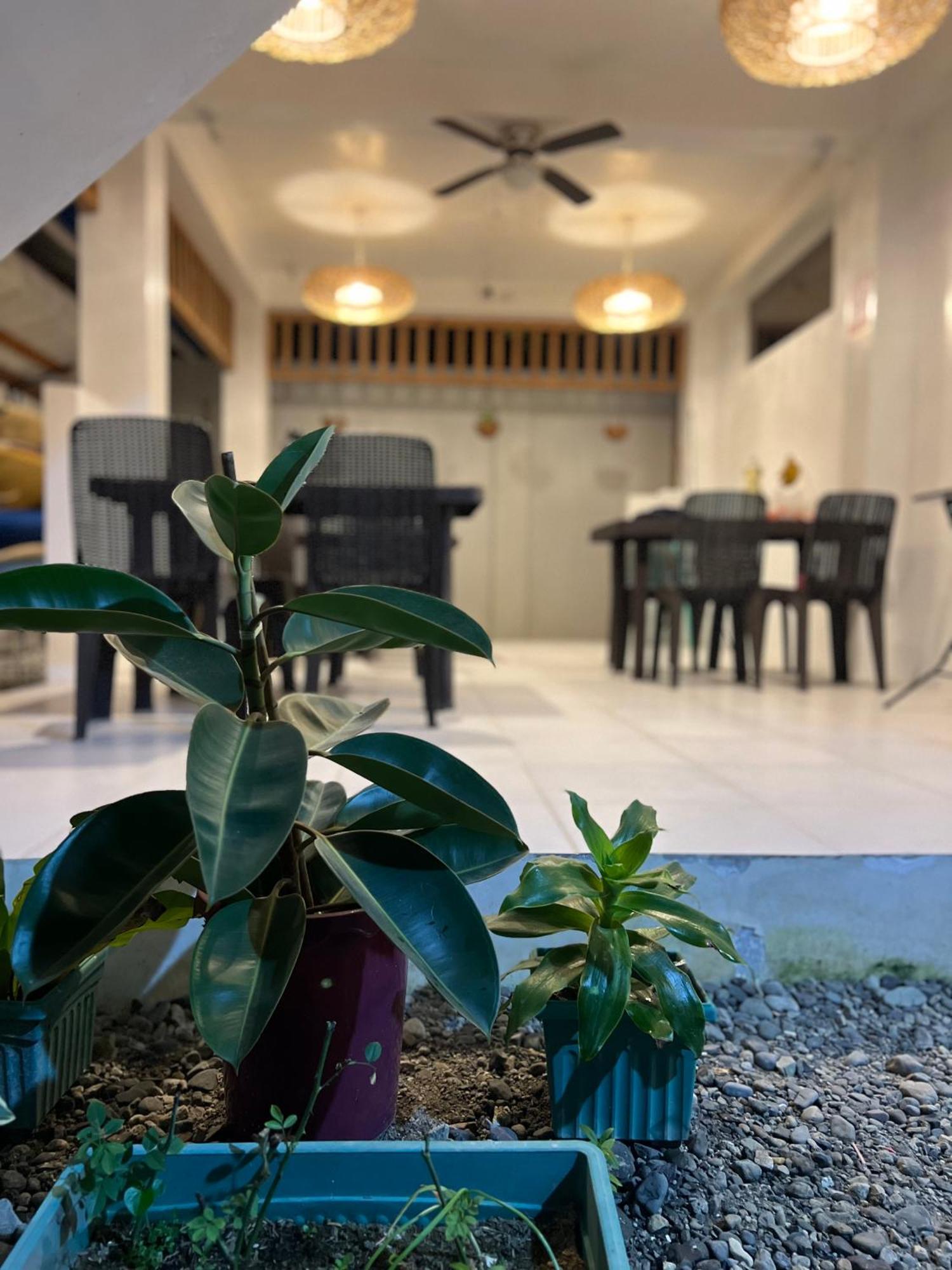 Sunny Terrace Hotel Baler Exterior foto